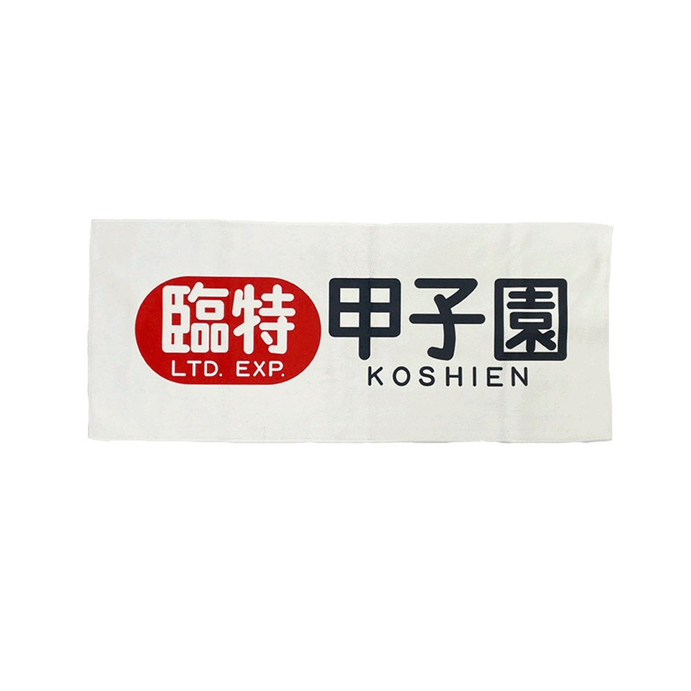 IMG_2687_1_1200x1200.png?v=